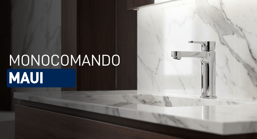 Imagen descriptiva 1